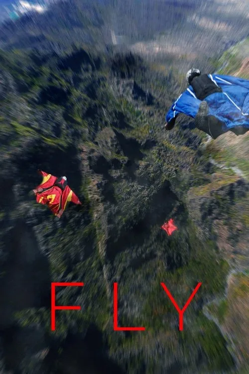 Fly (2024) poster