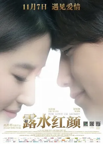 For Love or Money (2014) poster