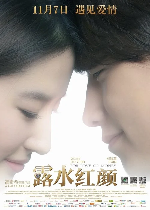 For Love or Money (2014) poster