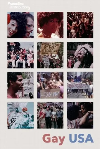 Gay USA (1977) poster