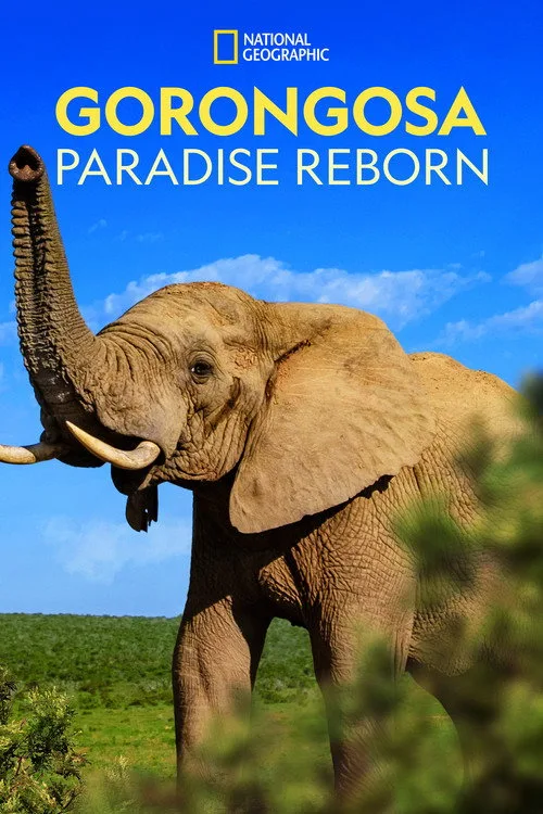Gorongosa: Paradise Reborn (2022) poster