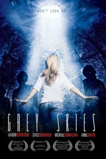 Grey Skies (2010) poster