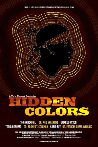 Hidden Colors (2011) poster
