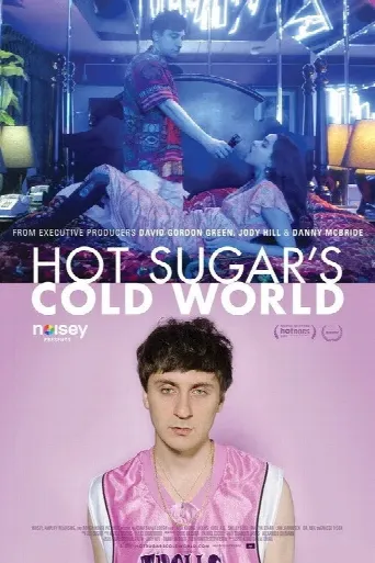 Hot Sugar's Cold World (2015) poster