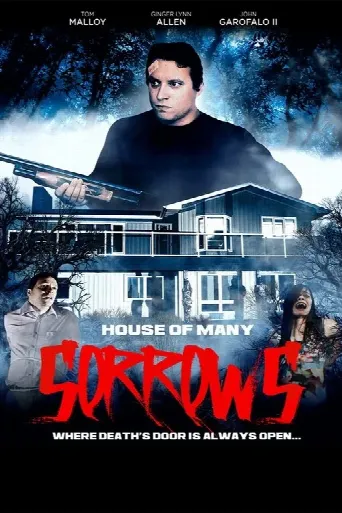 House of Many Sorrows (2020) poster