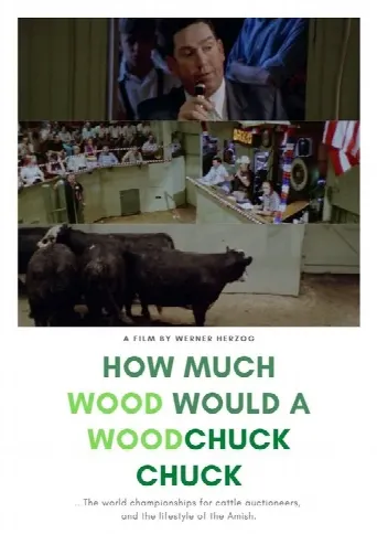 How Much Wood Would a Woodchuck Chuck (1976) poster
