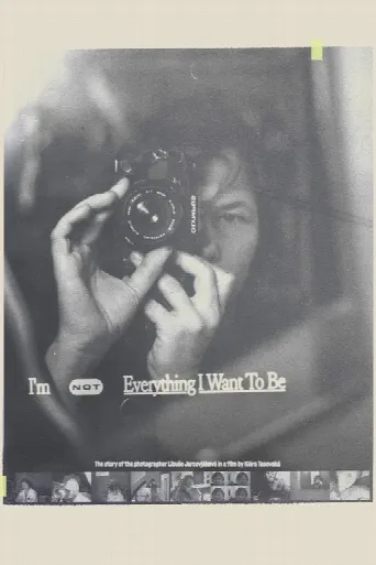 I'm Not Everything I Want to Be (2024) poster