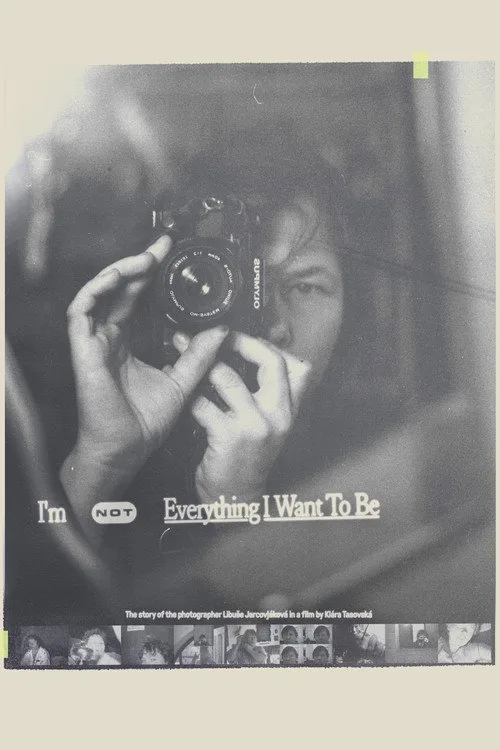 Watch I'm Not Everything I Want to Be (2024) online free - poster