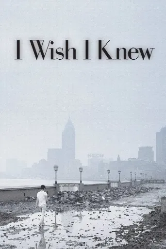 I Wish (2011) poster