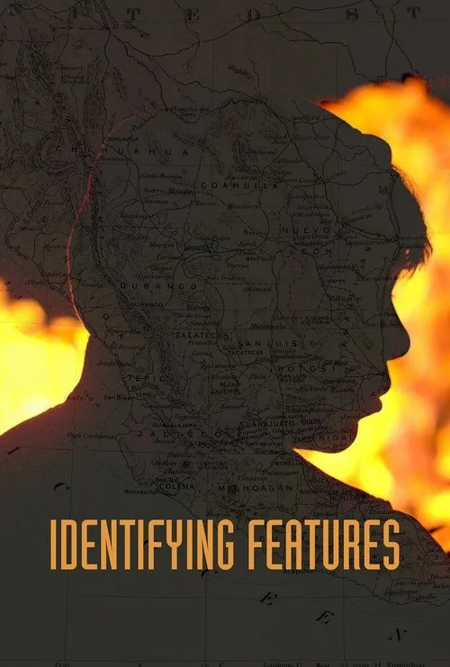 Identifying Features (2020) poster