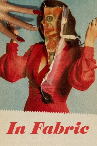 In Fabric (2019) poster