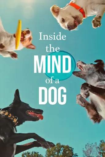 Inside the Mind of a Dog (2024) poster