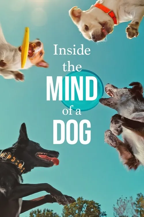Inside the Mind of a Dog (2024) poster