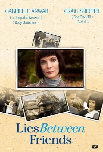 Lies Between Friends (2010) poster
