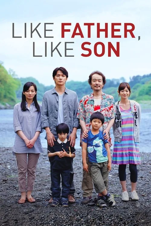 Like Father, Like Son (2013) poster