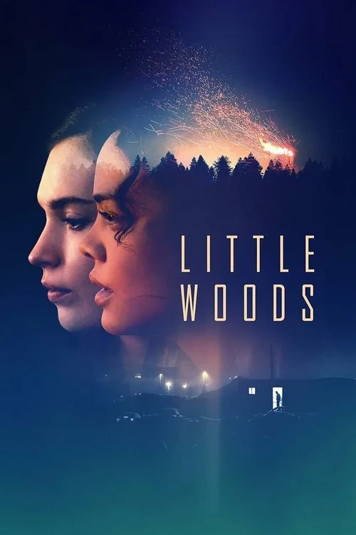 Little Woods (2019) poster