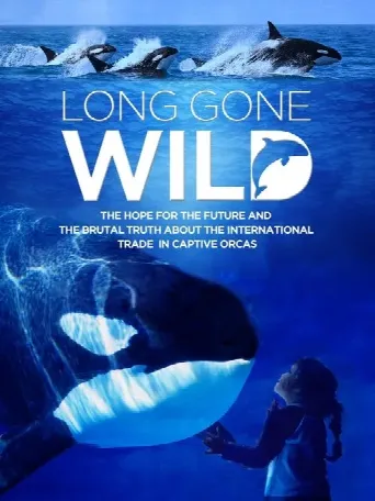 Long Gone Wild (2019) poster