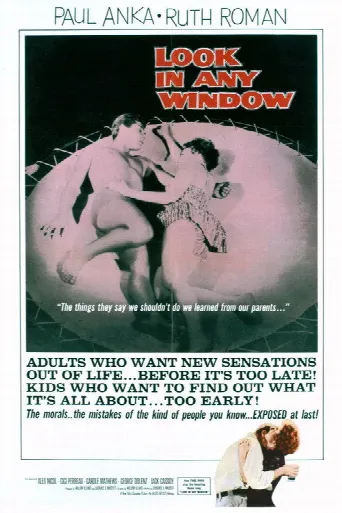 Look in Any Window (1961) poster
