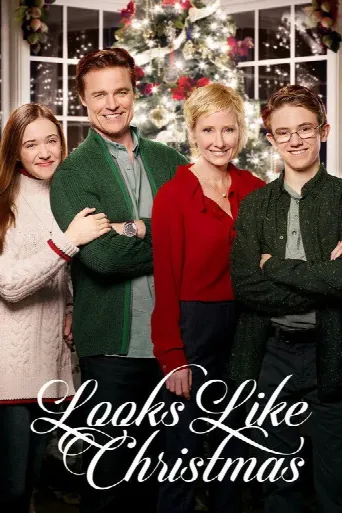 Looks Like Christmas (2016) poster