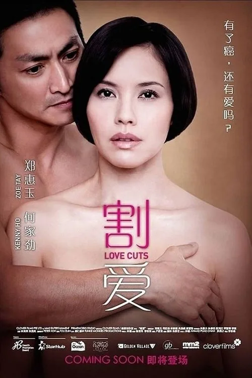 Love Cuts (2010) poster