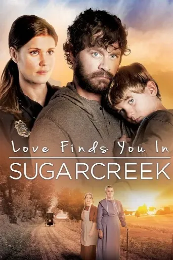 Love Finds You In Sugarcreek (2014) poster