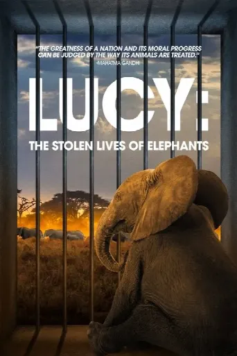 Lucy: The Stolen Lives of Elephants (2025) poster