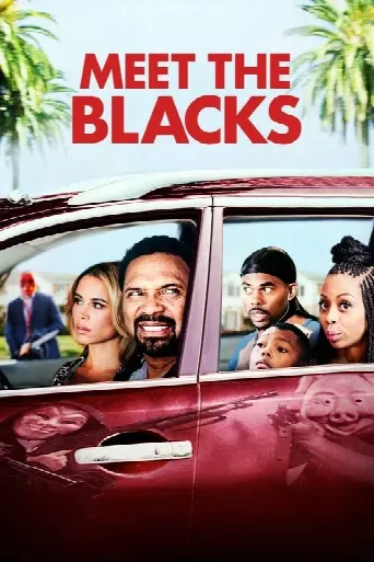 Meet the Blacks (2016) poster