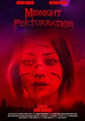 Midnight Perturbation (2025) poster