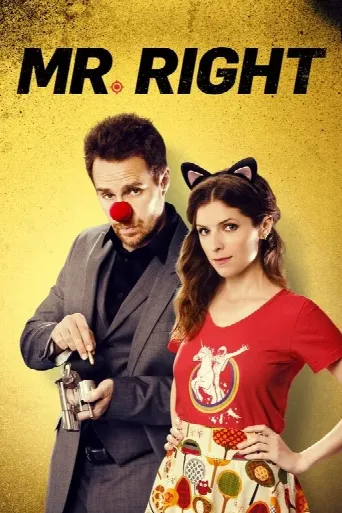 Mr. Right (2015) poster