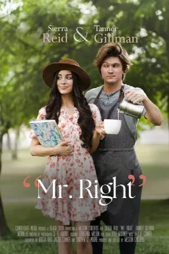 Mr. Right (2023) poster