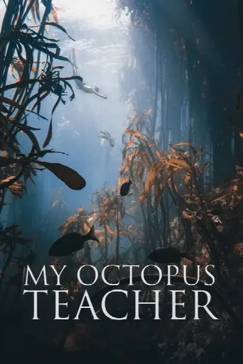 My Octopus Teacher (2020) poster