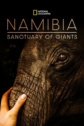 Namibia, Sanctuary of Giants (2017) poster