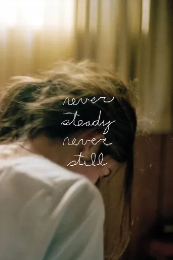 Never Steady, Never Still (2017) poster