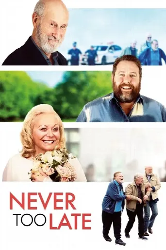 Never Too Late (2020) poster