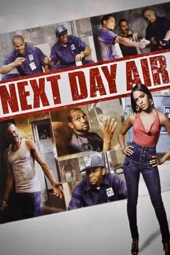 Next Day Air (2009) poster
