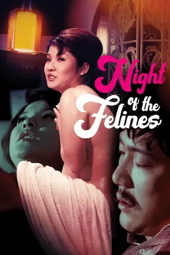 Night of the Felines (1972) poster