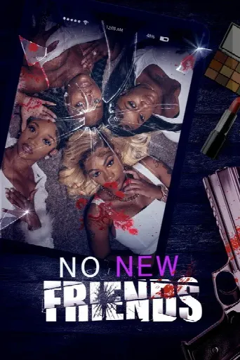 No New Friends (2024) poster