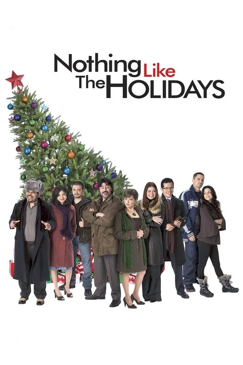Nothing Like the Holidays (2008) poster
