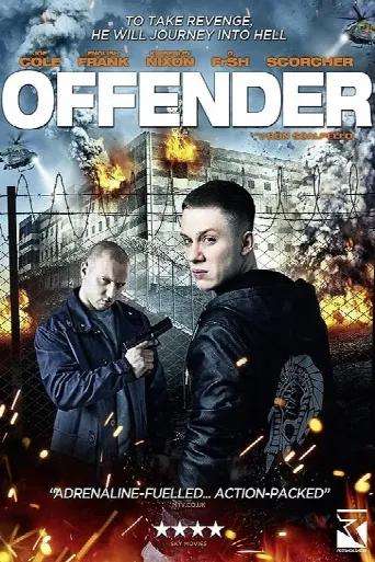 Offender (2012) poster