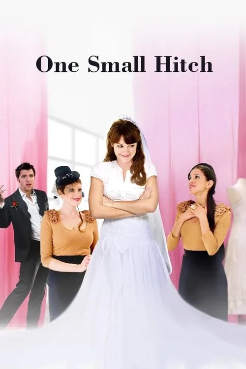 One Small Hitch (2013) poster