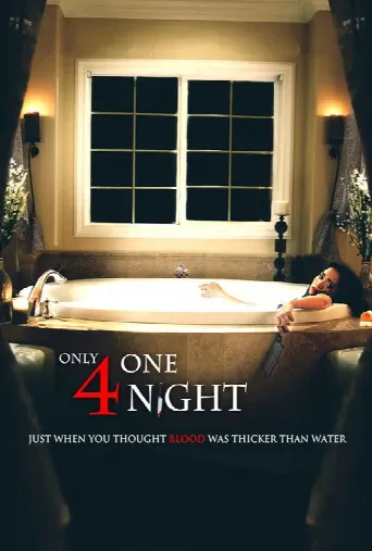 Only For One Night (2016) poster