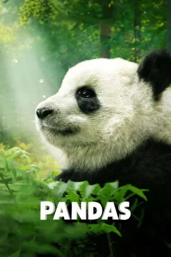 Pandas (2018) poster