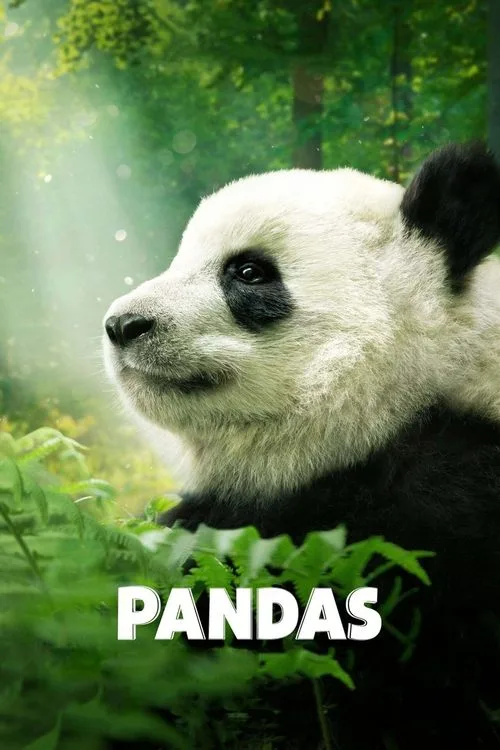 Pandas (2018) poster