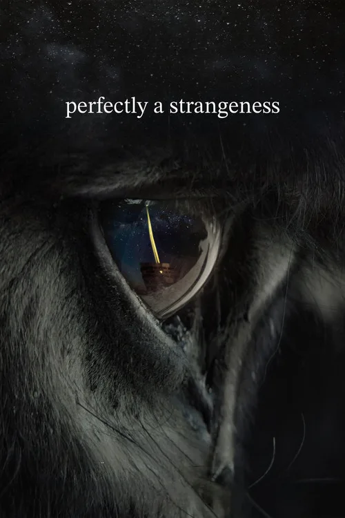 Perfectly A Strangeness (2024) poster