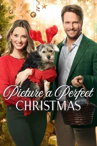 Picture a Perfect Christmas (2019) poster