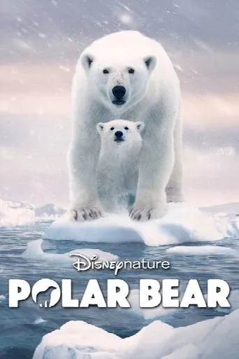 Polar Bear (2022) poster