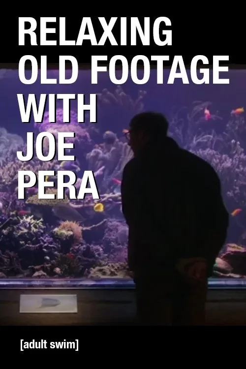 Relaxing Old Footage With Joe Pera (2020) poster