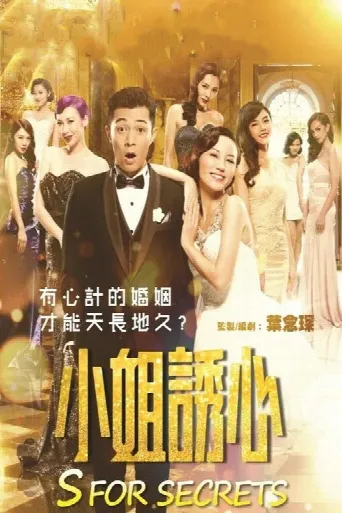 S for Sex, S for Secrets (2014) poster
