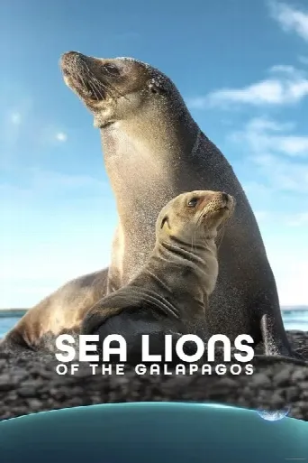 Sea Lions of the Galapagos (2025) poster