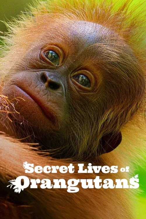 Secret Lives of Orangutans (2024) poster